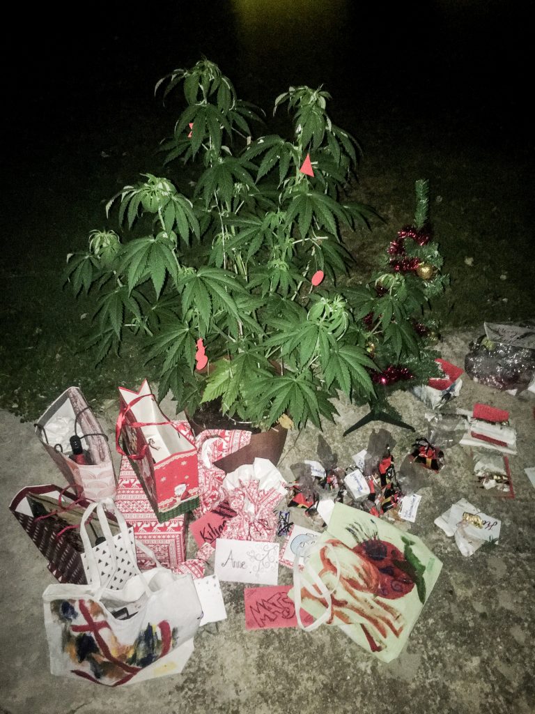 Cannabis Weihnachtsbaum