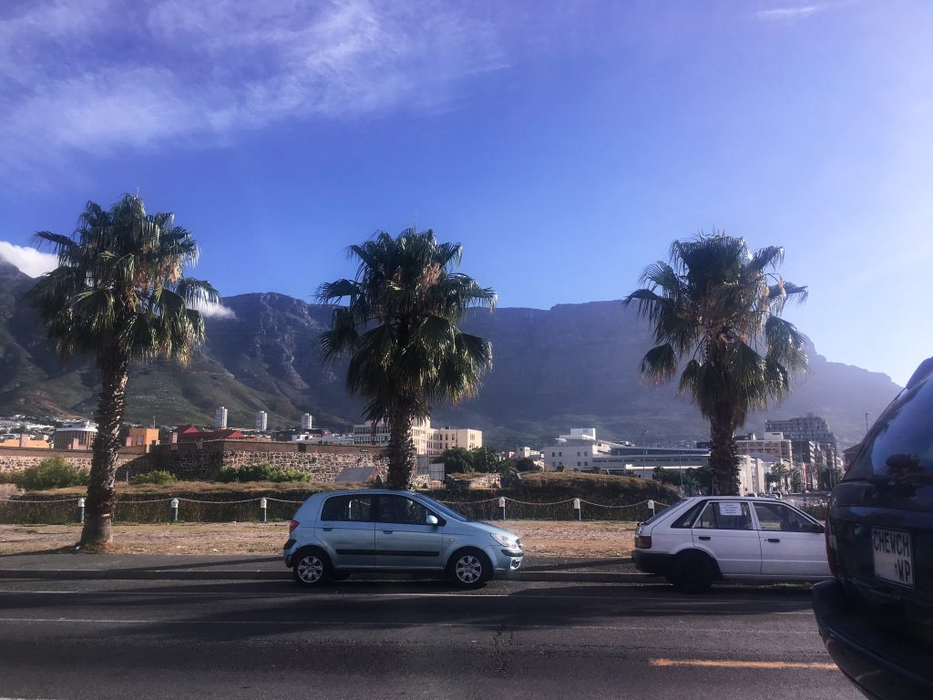 Palmen vor Tafelberg
