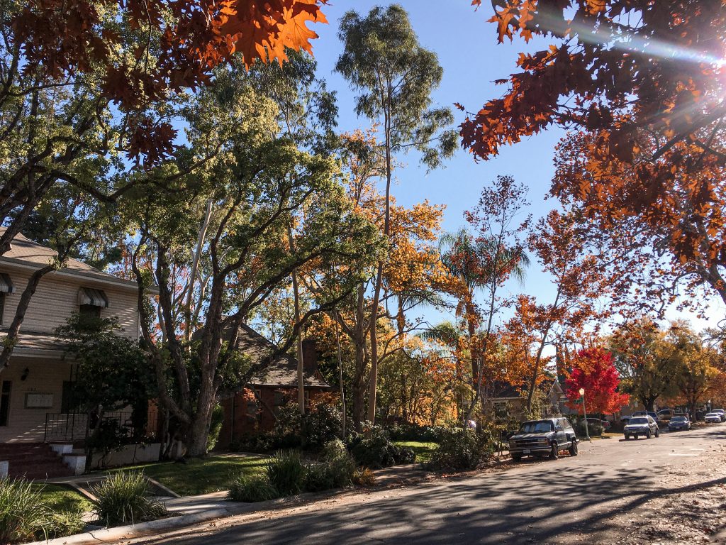 Herbst Sacramento