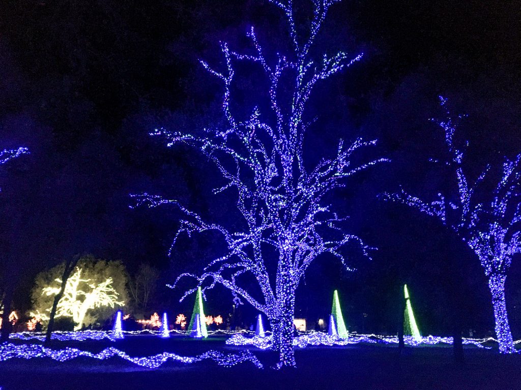 Garden of Lights